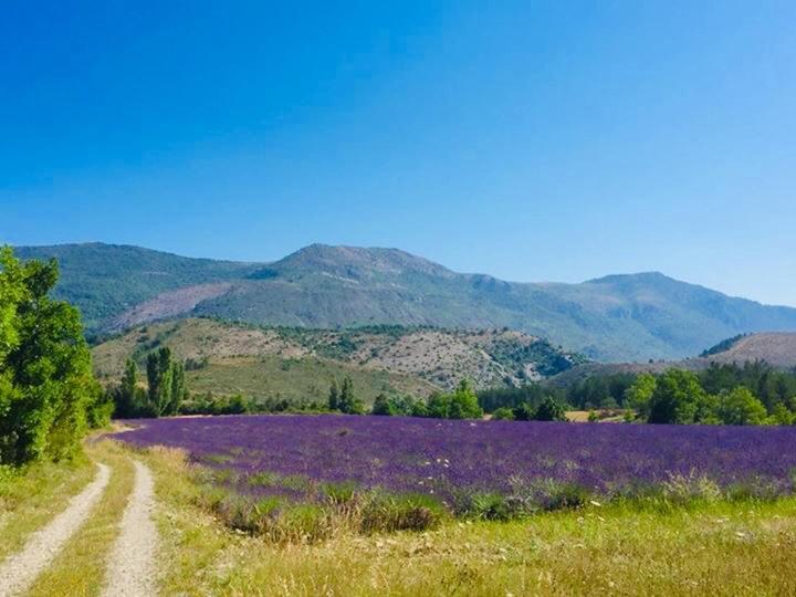 Le Moulin De La Viorne, Gite Avec Piscine Au Coeur De La Nature En Haute-Provence Les Omergues Exterior foto