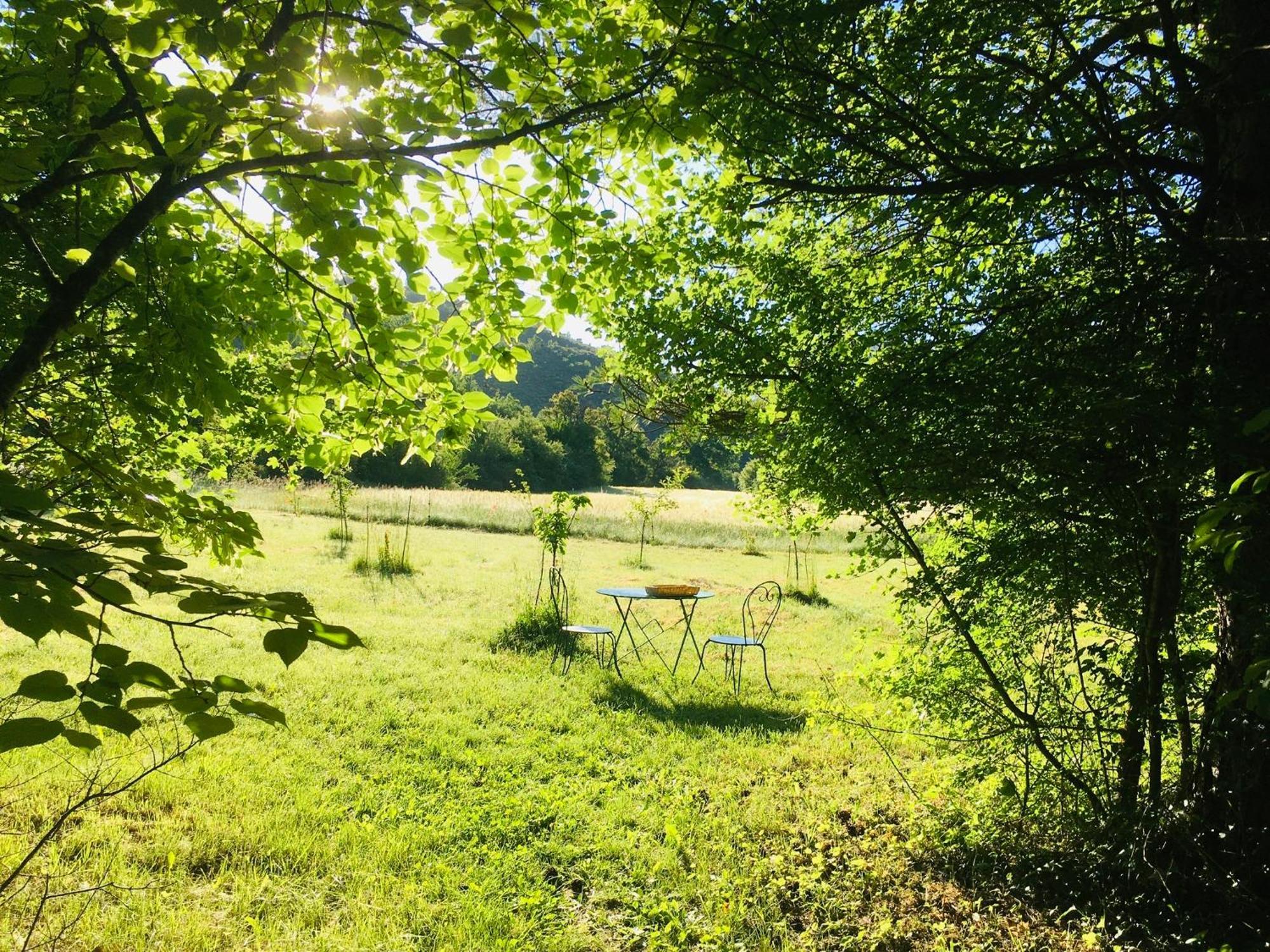 Le Moulin De La Viorne, Gite Avec Piscine Au Coeur De La Nature En Haute-Provence Les Omergues Exterior foto