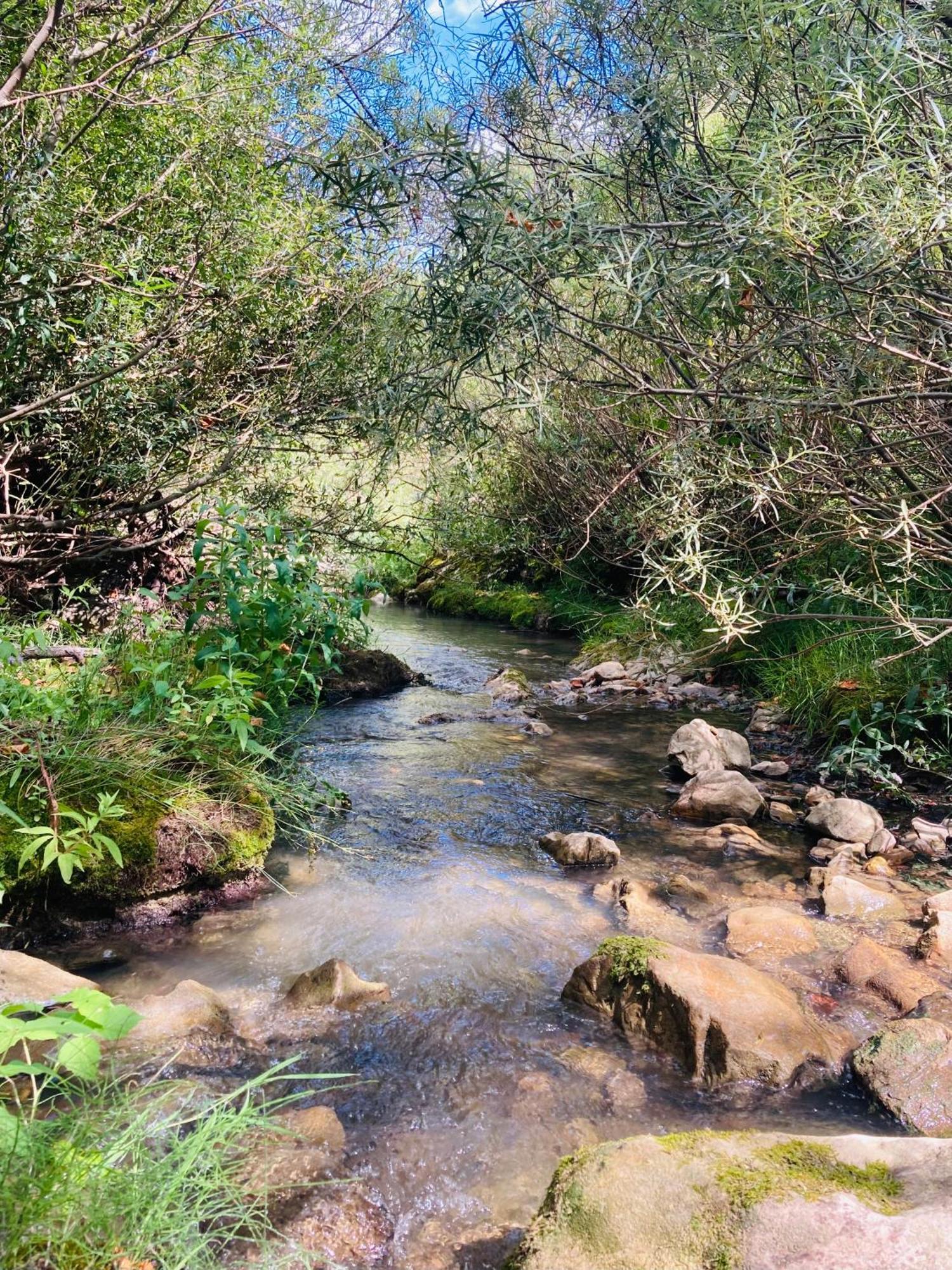 Le Moulin De La Viorne, Gite Avec Piscine Au Coeur De La Nature En Haute-Provence Les Omergues Exterior foto